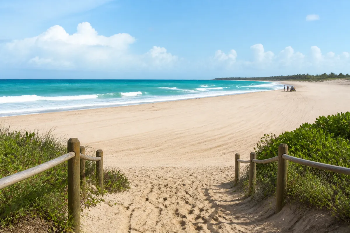 Faixa de areia cuidada após rotina de limpeza costeira em Pernambuco